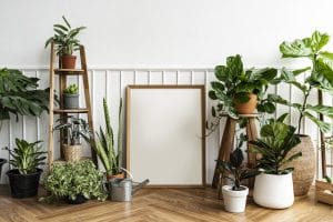 The Complete Guide to Indoor Plants: From Small Succulents to Hydroponic Gardens