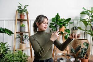 Bringing Life Indoors: The Transformative Power of House Plants
